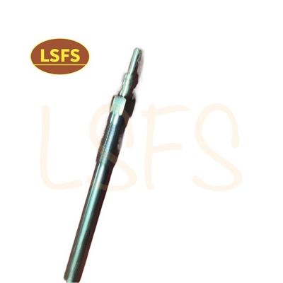 Maxus LDV V80 IV Ключ к отоплению Ключ к свечению для 2010-2016 годов с OEM S00002585 04