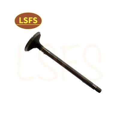 G10 MPV индивидуальный впускной клапан для Maxus D90 G20 T60 OEM C00111120
